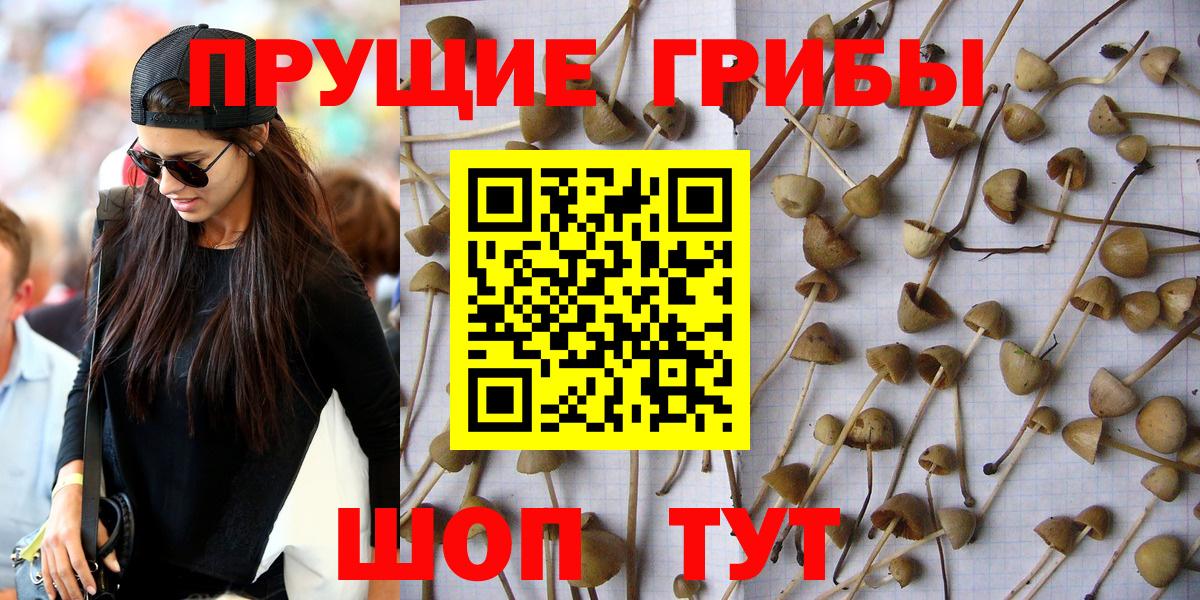 Галлюциногенные грибы ЛСД Октябрьский